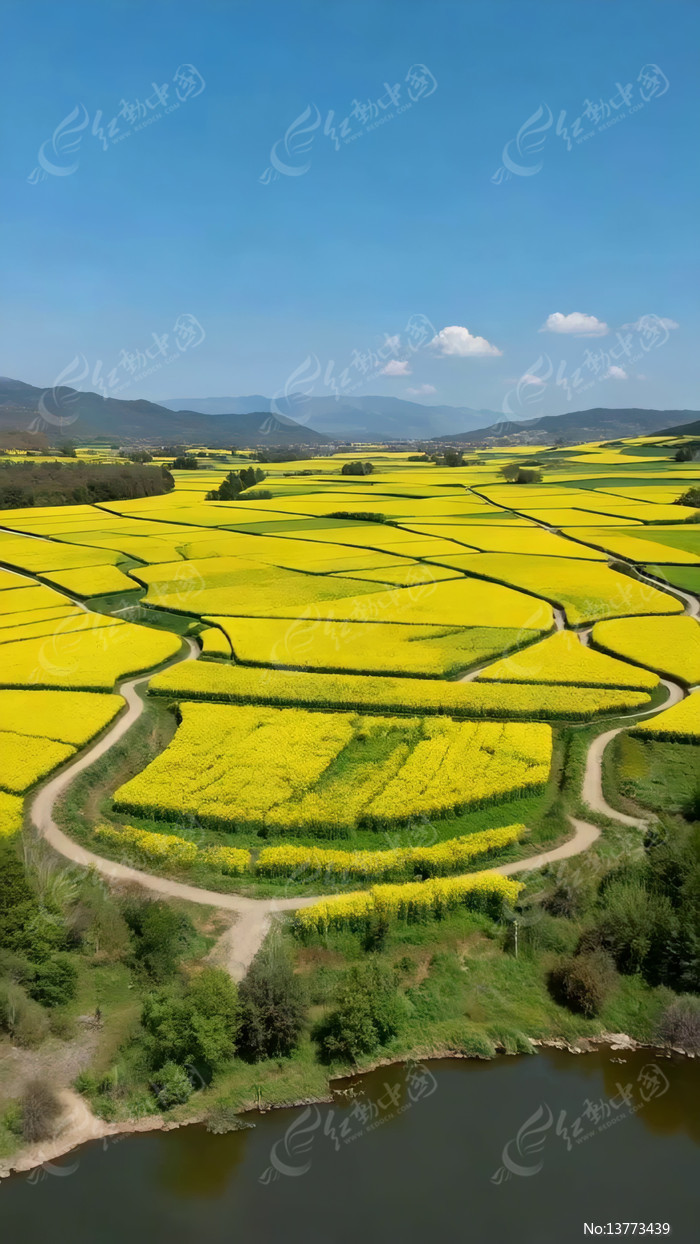 ������Ұ�Ͳ˻����