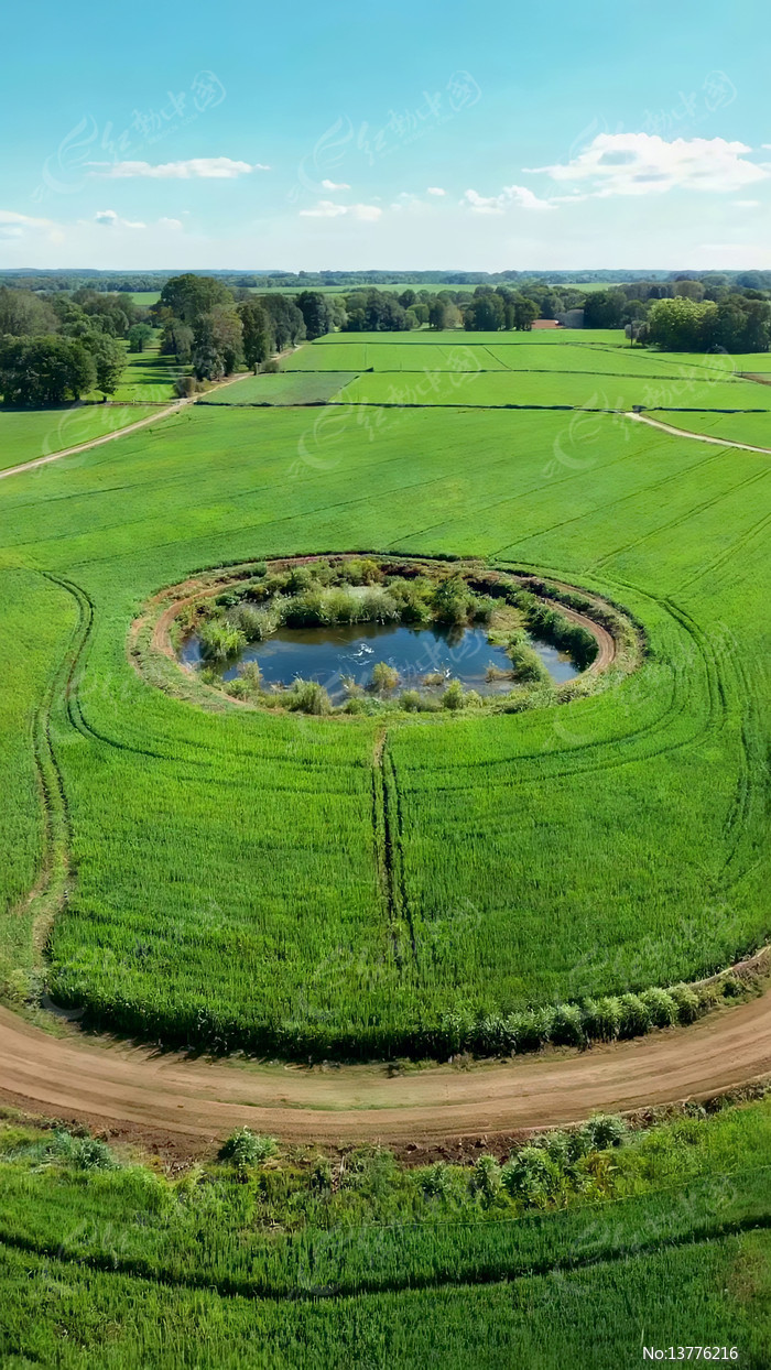 ������Ұ�е�Բ��ˮ��