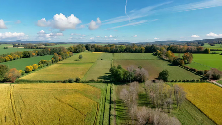 ������Ұ��Ȼ���ȫ��