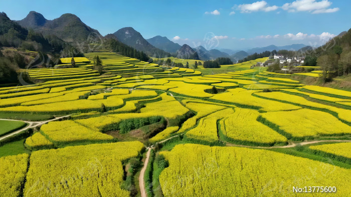 ���������Ͳ˻�����