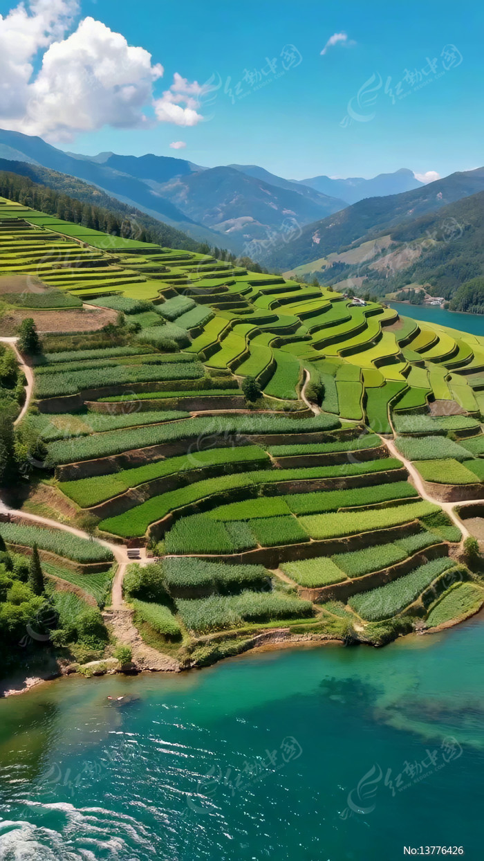 ����������Ȼ���