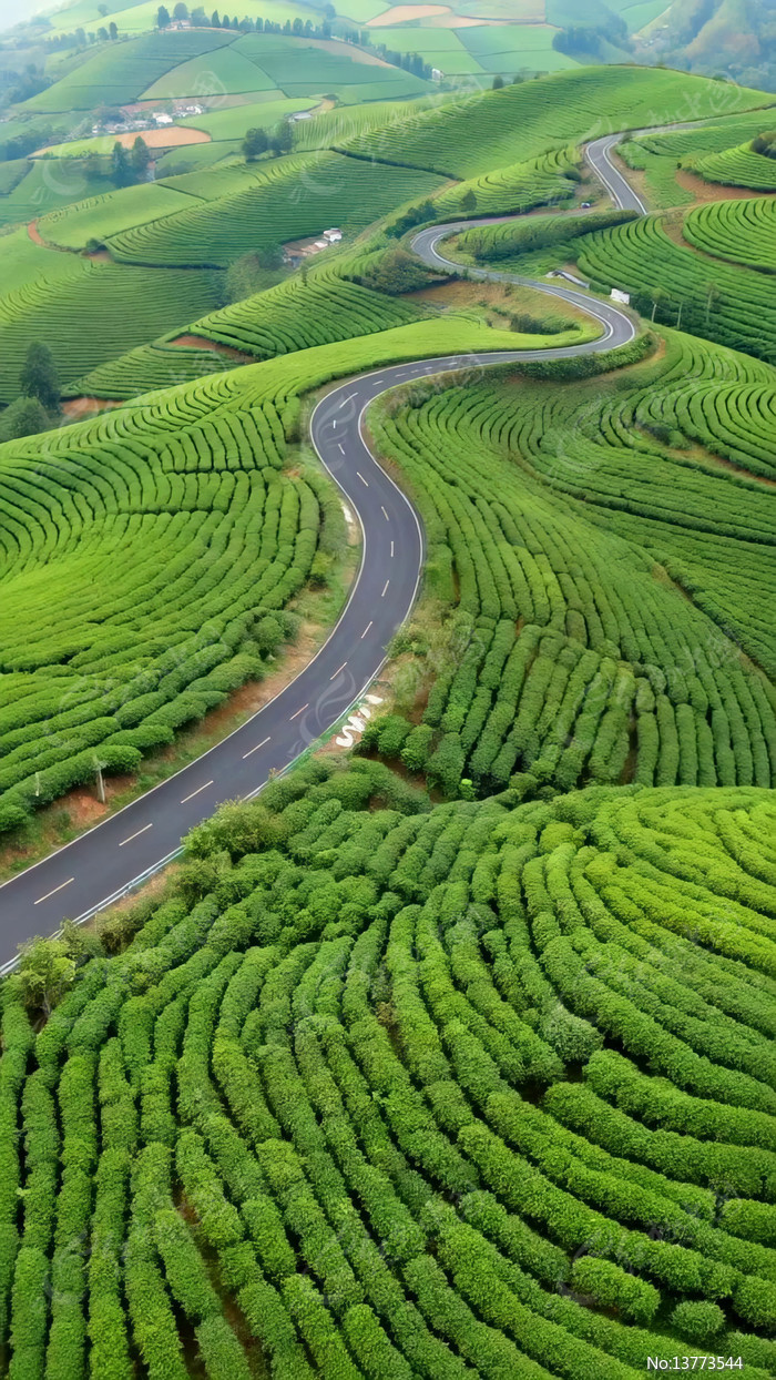 �������ѹ�·���в�԰����