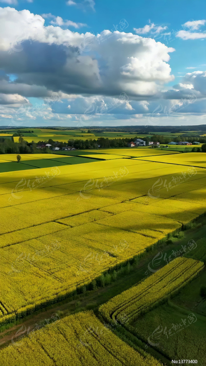 �����Ͳ˻���Ұ���