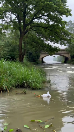 �ӱߴ����µ�������Ȼ����