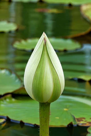 �ɻ�������д