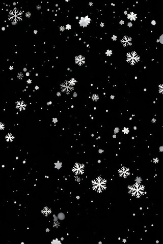 ��ɫ����Ʈ��ѩ��