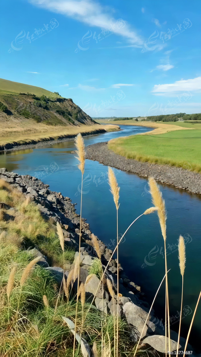 ������Ұ��Ȼ���