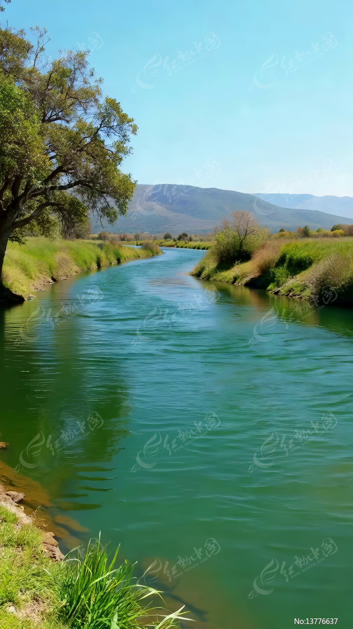 ������Ȼ���