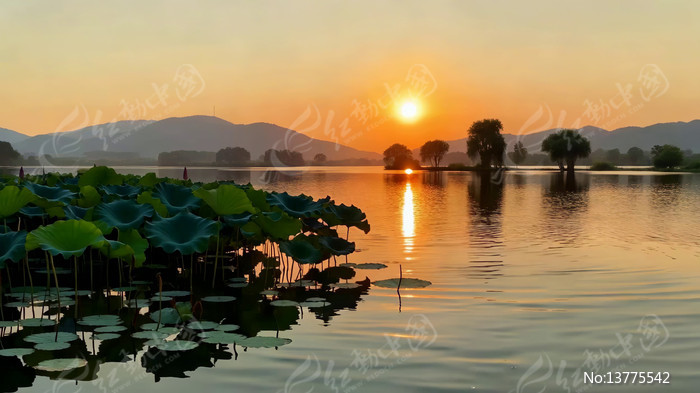 ����������Ȼ���