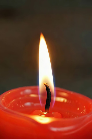 ��ɫ����ȼ����д