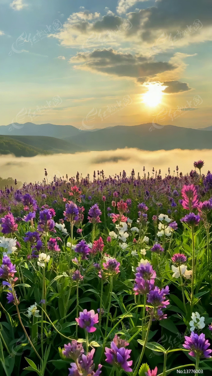 �����ճ���Ȼ���