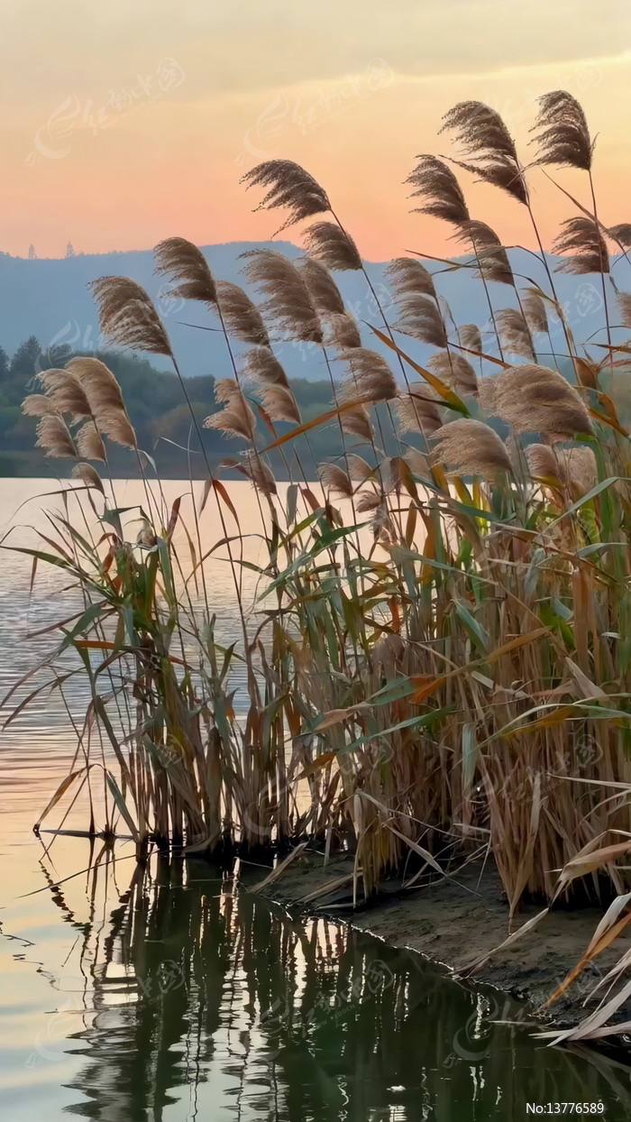 ����«έ����羰�ز�