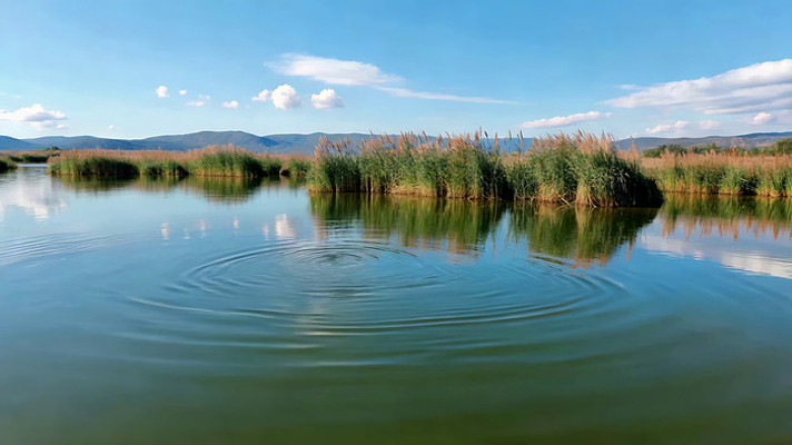 湖泊湿地自然风光 湖泊湿地自然风光