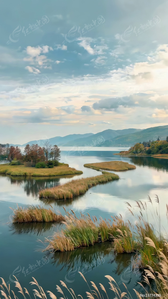 ������Ȼ���ȫ��