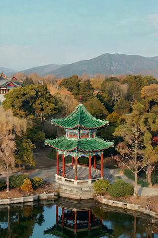 ���Ϲ�ͤ��Ȼ���