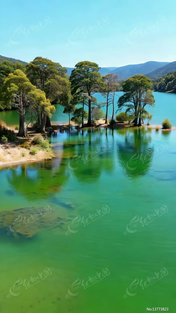 ����������Ȼ���