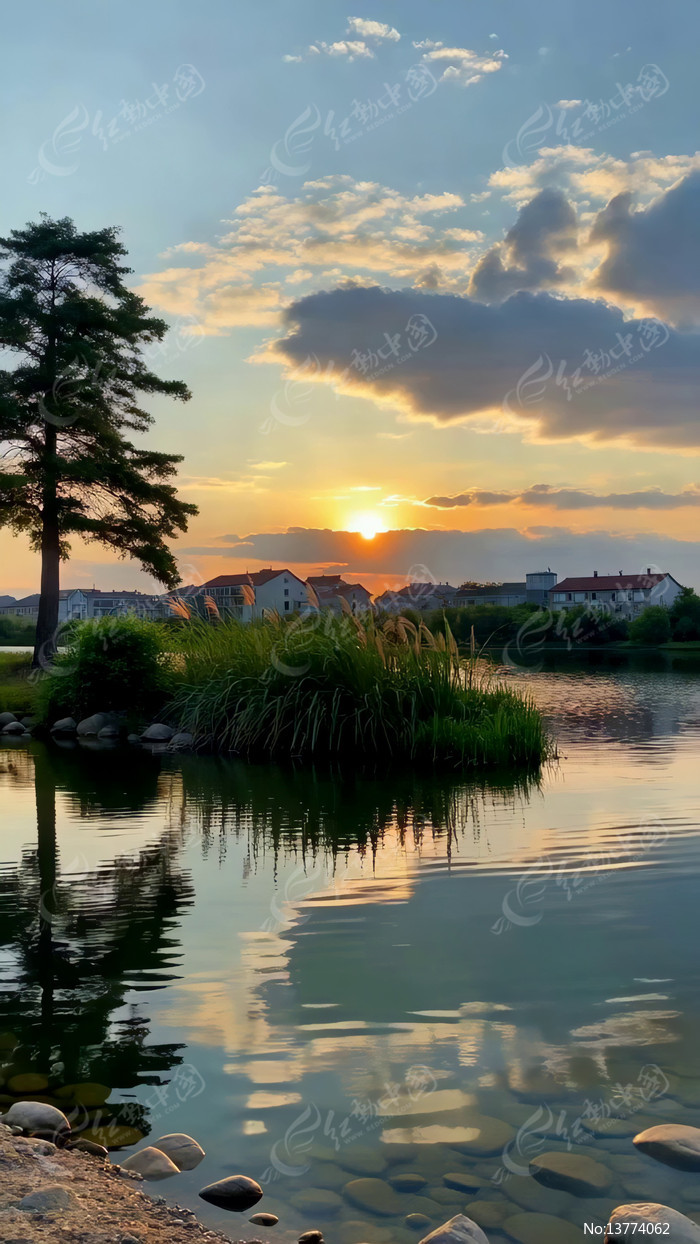 ����������Ȼ���