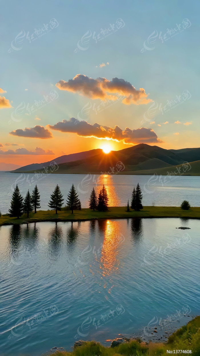 ����������Ȼ���