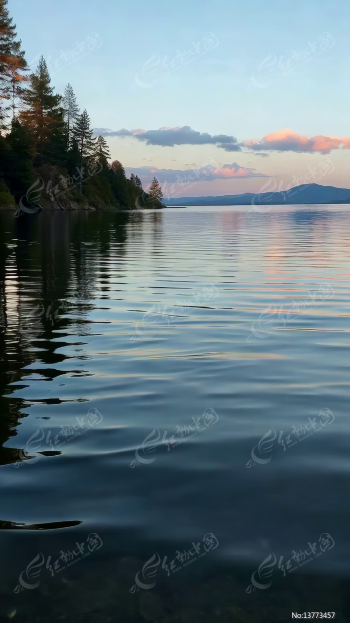 ����ɭ����Ȼ���