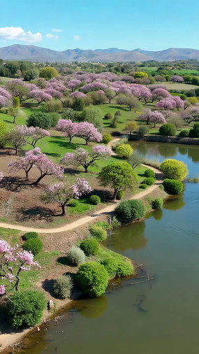 ����ʢ���ķ�ɫ������Ȼ���