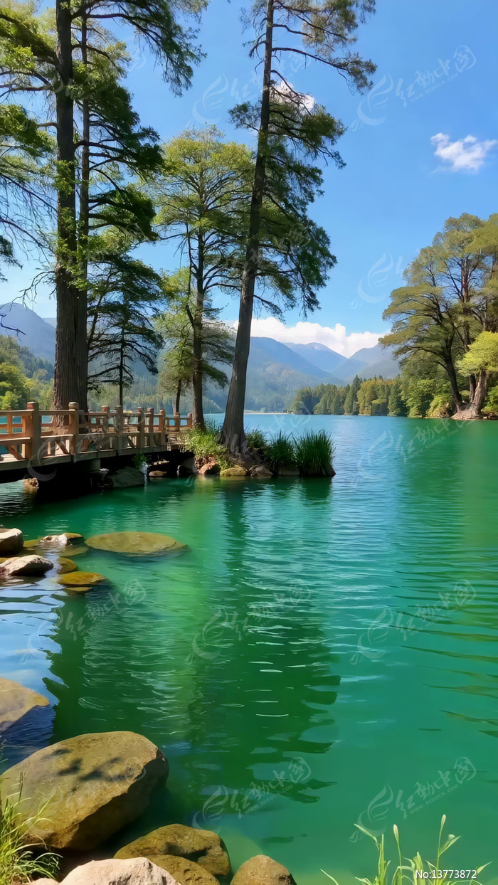 ����������Ȼ���