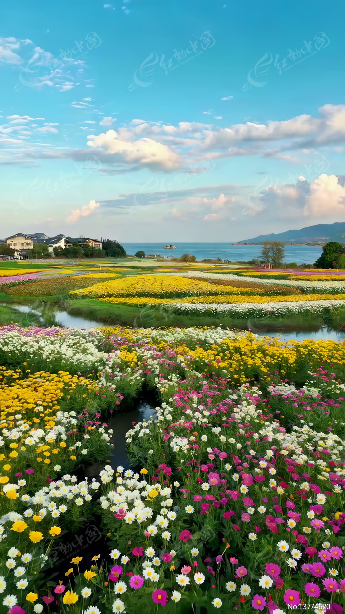 ������ʻ�����Ȼ���