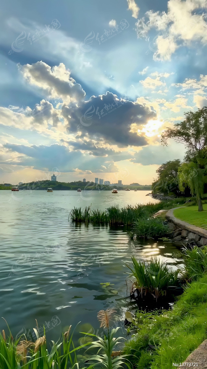 ������Ȼ���