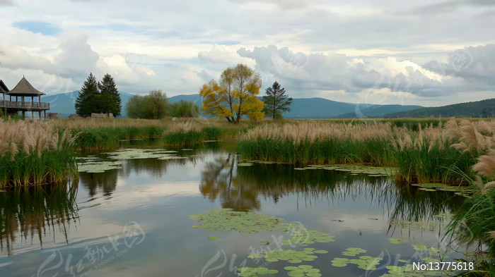 ������Ȼ�������ʽ��ͤ����