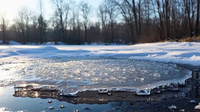 �����ѩ�ڻ�����