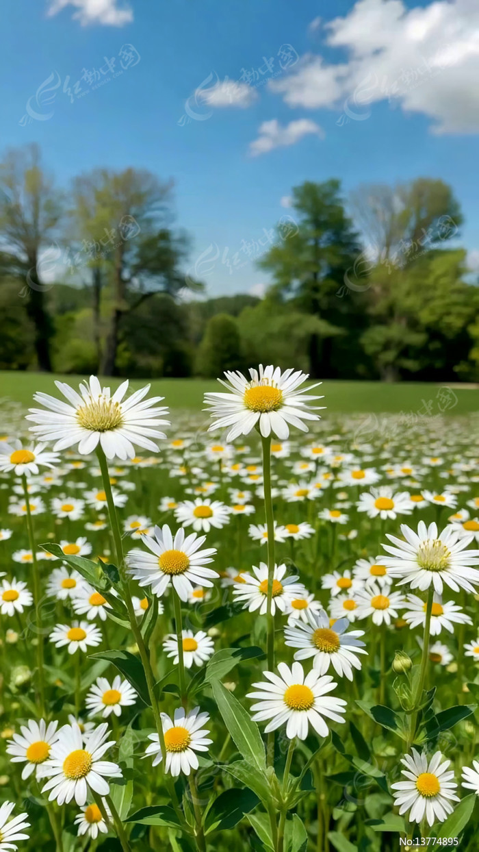 �������ʢ������Ȼ�羰