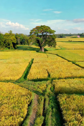 ��Ƶ����еĴ����羰