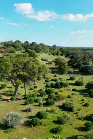 ���и�����ⰻȻ��ԭҰ