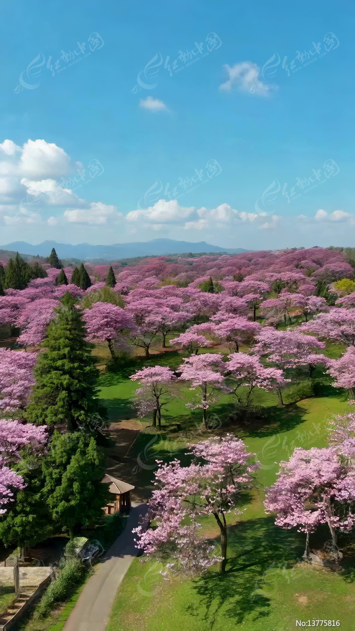 ���и��ʢ���ķ�ɫ����