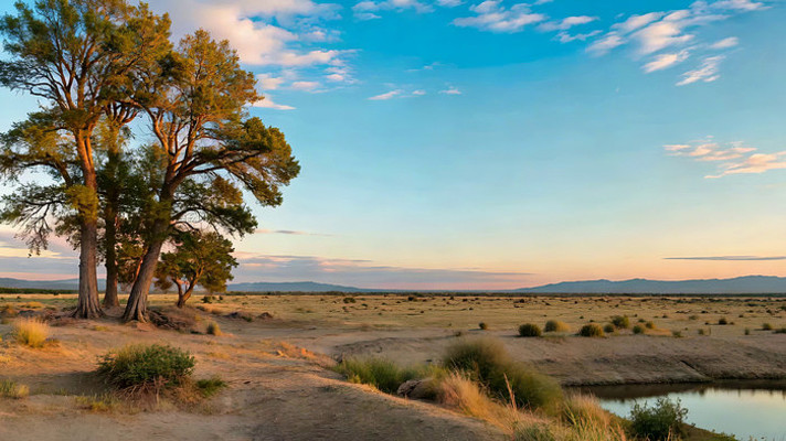 旷野树木自然风光 旷野树木自然风光