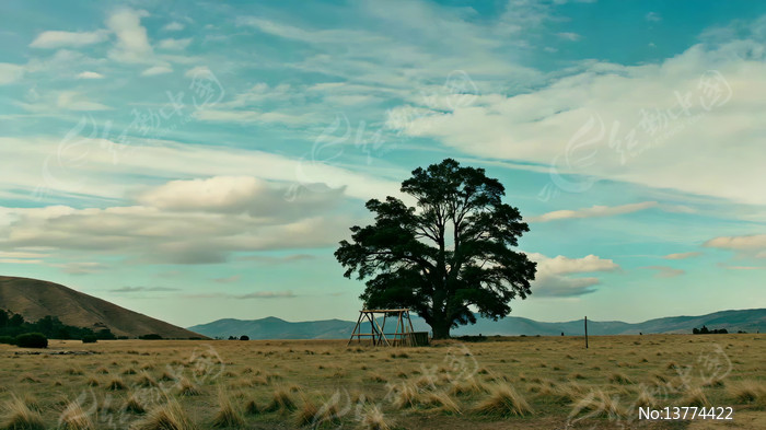 ��Ұ�д�����������Ʒ羰