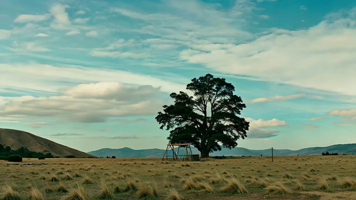 ��Ұ�д�����������Ʒ羰