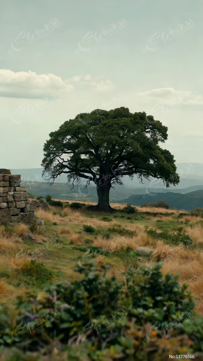 ��Ұ�ж��������羰