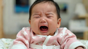 ������Ӥ����������