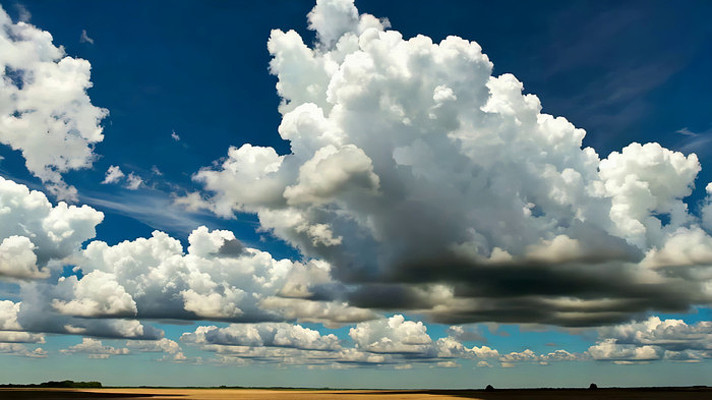 ������ƹ�����Ұ����