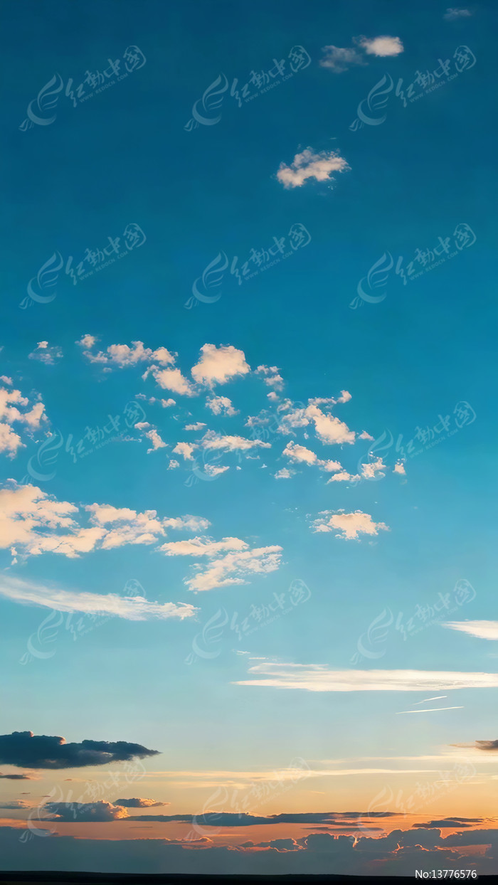 ������ƻƻ���վ���