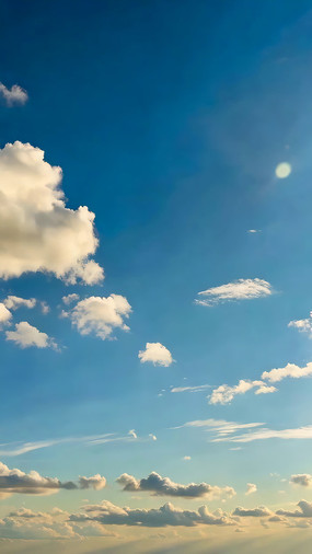 ���������������ز�