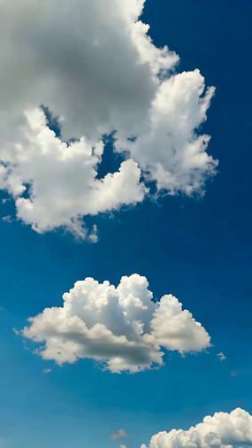 ���������������ز�