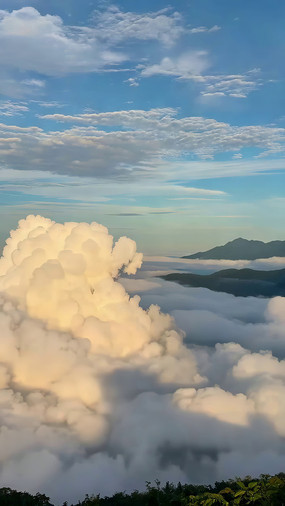 ���������Ȼ����ƺ�����