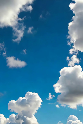 ���������Ȼ����