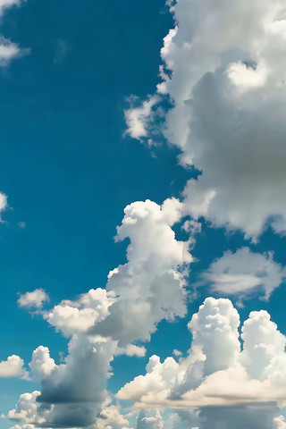 ���������Ȼ��վ���