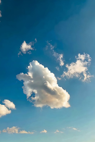 ���������Ȼ��վ���