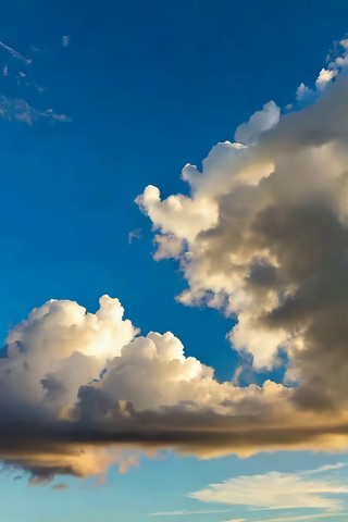 ���������Ȼ����ز�