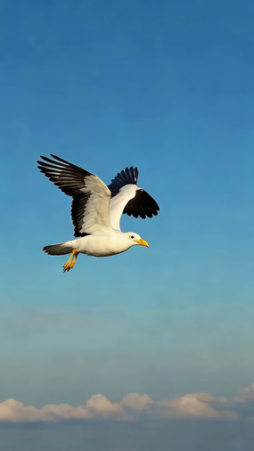 �����к�Ÿչ�����