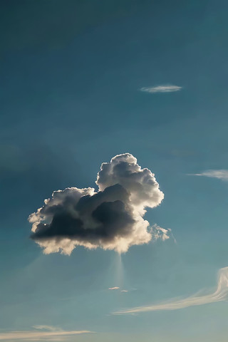 ������Ư���Ĵ�����