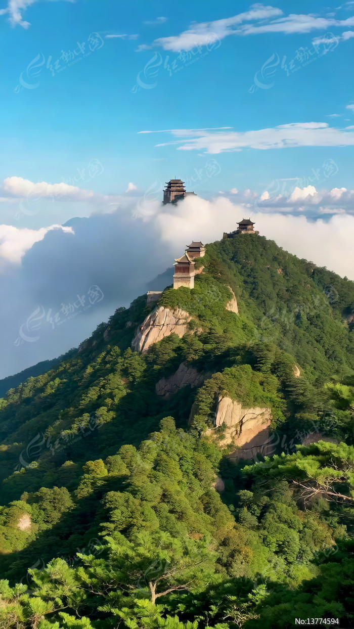 �Ͼ�ɽ�ƺ��еĹŽ�������